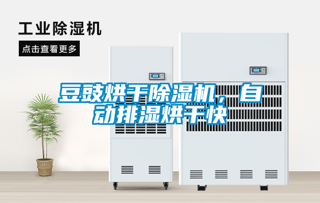 国产精品欧美激情视频 豆豉烘干除湿机，自动排湿烘干快