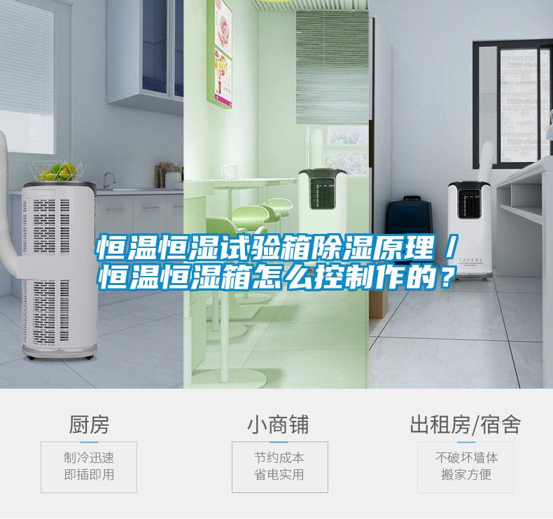国产精品探花在线观看 恒温恒湿试验箱除湿原理／恒温恒湿箱怎么控制作的？