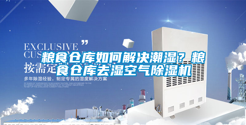国产精品三级在线观看 粮食仓库如何解决潮湿？粮食仓库去湿空气除湿机