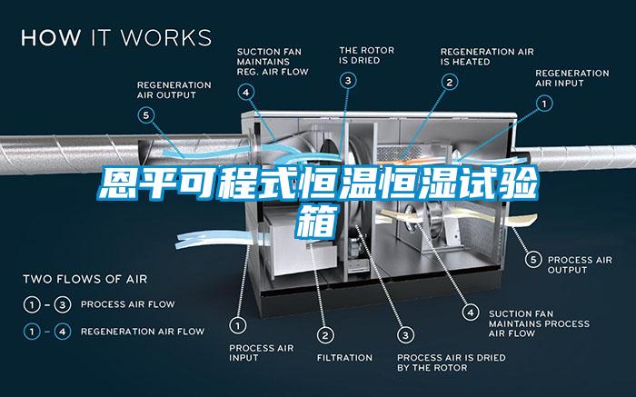 国产精品三级在线观看 恩平可程式恒温恒湿试验箱