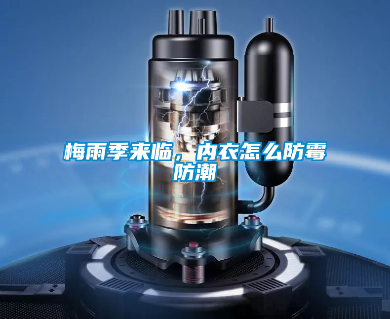 国产精品三级在线观看 梅雨季来临，内衣怎么防霉防潮