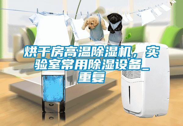 国产精品三级在线观看 烘干房高温除湿机，实验室常用除湿设备_重复