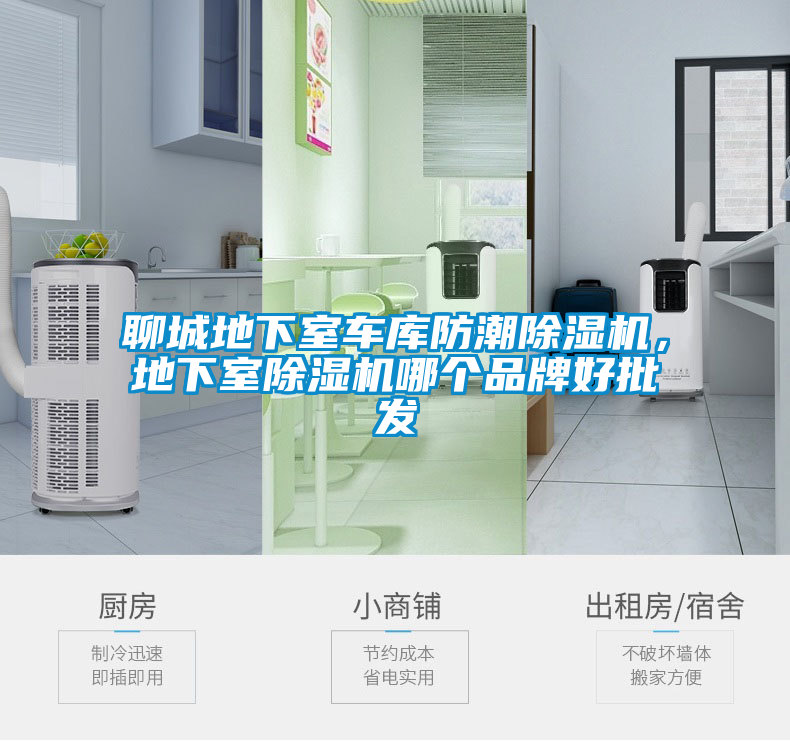 国产精品三级在线观看 聊城地下室车库防潮除湿机，地下室除湿机哪个品牌好批发