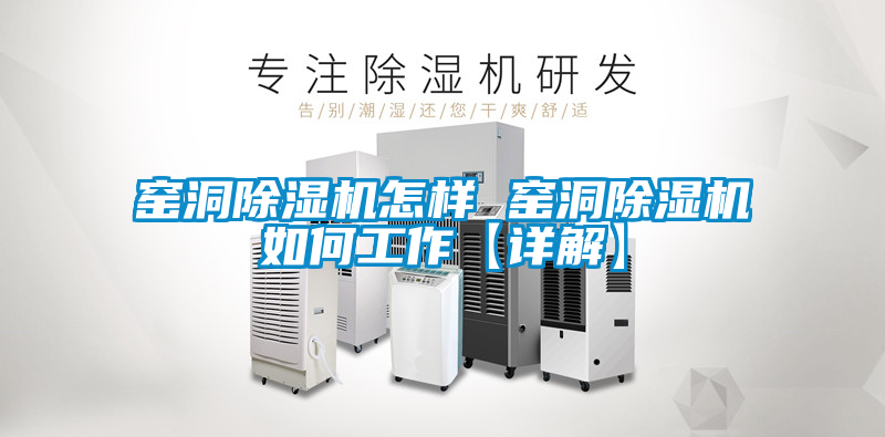 国产精品探花在线观看 窑洞除湿机怎样 窑洞除湿机如何工作【详解】