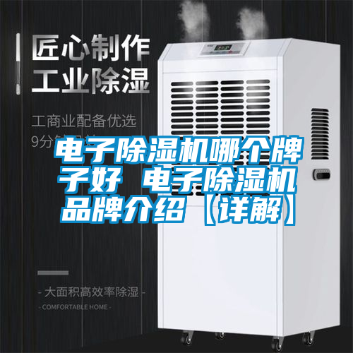 国产精品欧美激情视频 电子除湿机哪个牌子好 电子除湿机品牌介绍【详解】