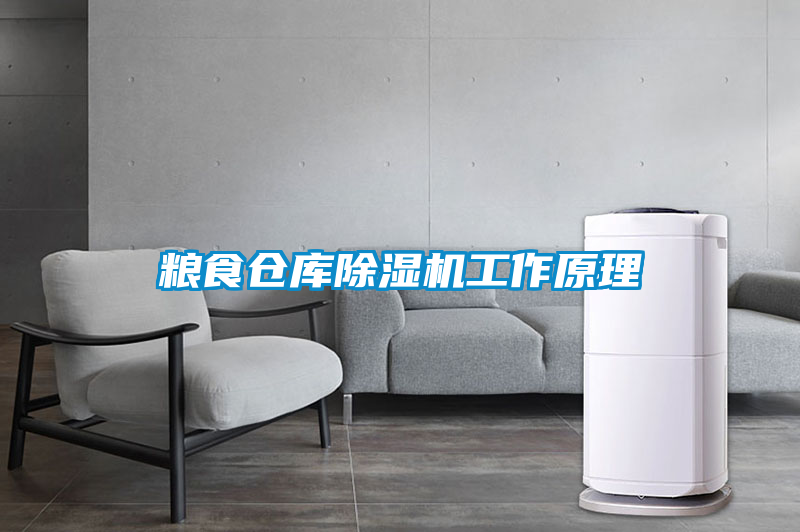国产精品三级在线观看 粮食仓库除湿机工作原理