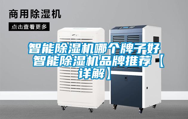 国产精品欧美激情视频 智能除湿机哪个牌子好 智能除湿机品牌推荐【详解】