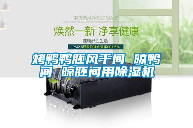 国产精品三级在线观看 烤鸭鸭胚风干间 晾鸭间 晾胚间用除湿机