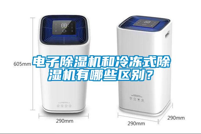 国产精品三级在线观看 电子除湿机和冷冻式除湿机有哪些区别？