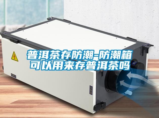 国产精品三级在线观看 普洱茶存防潮-防潮箱可以用来存普洱茶吗