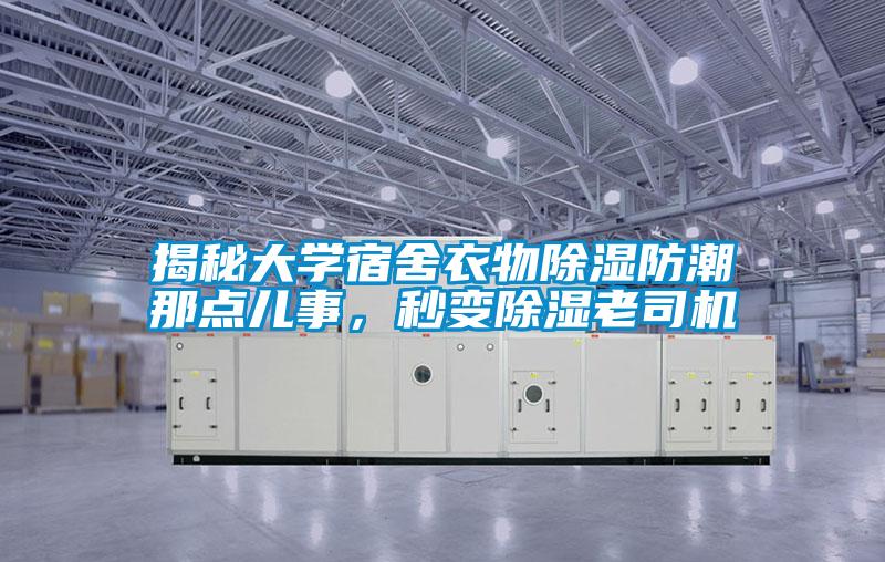 国产精品欧美激情视频 揭秘大学宿舍衣物除湿防潮那点儿事，秒变除湿老司机