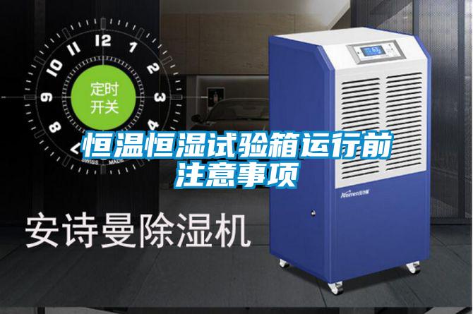 国产精品三级在线观看 恒温恒湿试验箱运行前注意事项