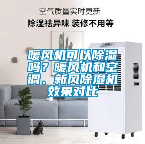 国产精品欧美激情视频 暖风机可以除湿吗？暖风机和空调、新风除湿机效果对比