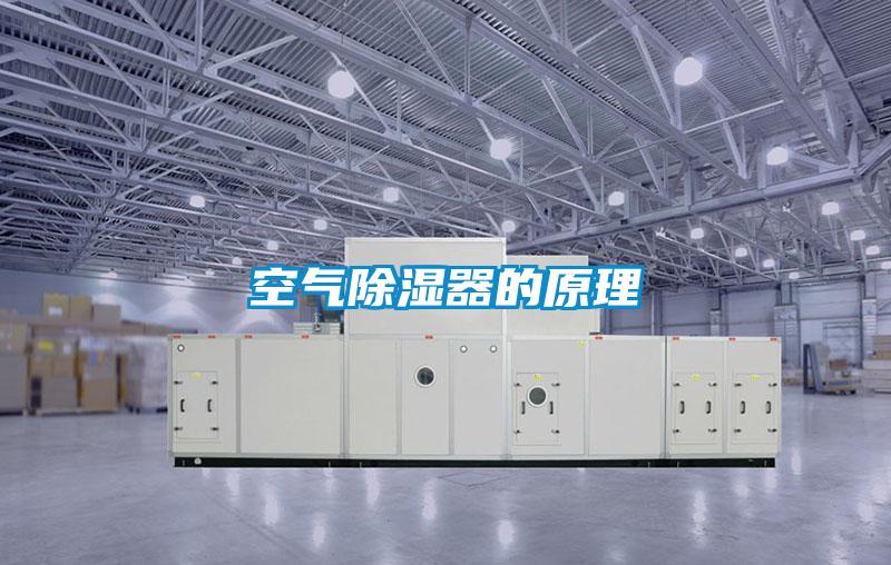 国产精品探花在线观看 空气除湿器的原理