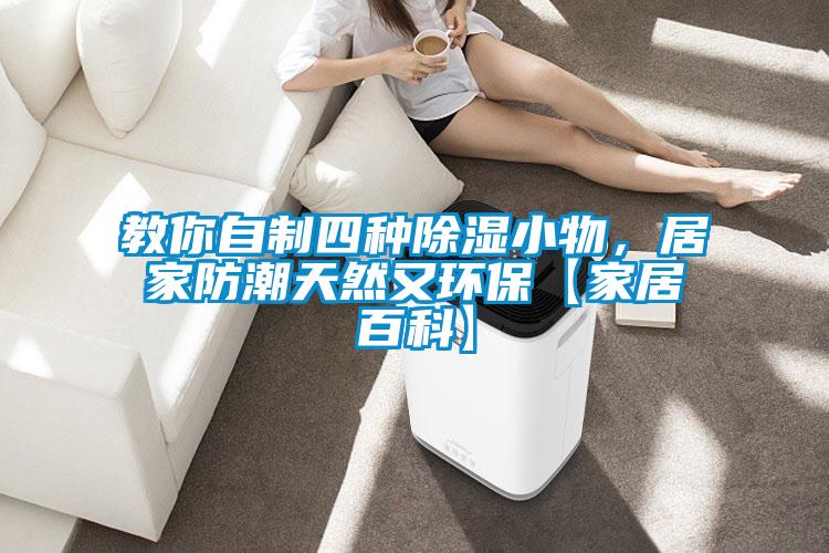 国产精品探花在线观看 教你自制四种除湿小物，居家防潮天然又环保【家居百科】