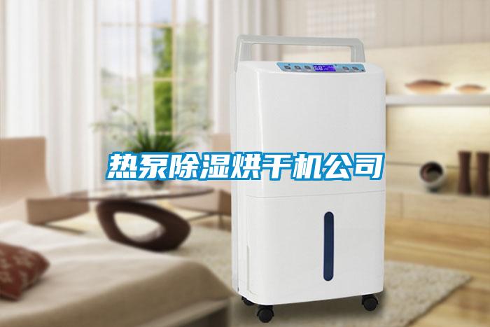国产精品三级在线观看 热泵除湿烘干机公司