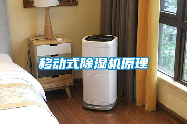 国产精品欧美激情视频 移动式除湿机原理