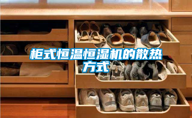 国产精品欧美激情视频 柜式恒温恒湿机的散热方式