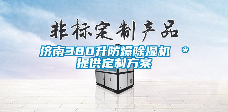国产精品三级在线观看 济南380升防爆除湿机 ＊提供定制方案