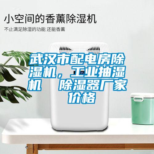 国产精品探花在线观看 武汉市配电房除湿机，工业抽湿机  除湿器厂家 价格