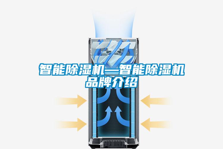 国产精品三级在线观看 智能除湿机—智能除湿机品牌介绍