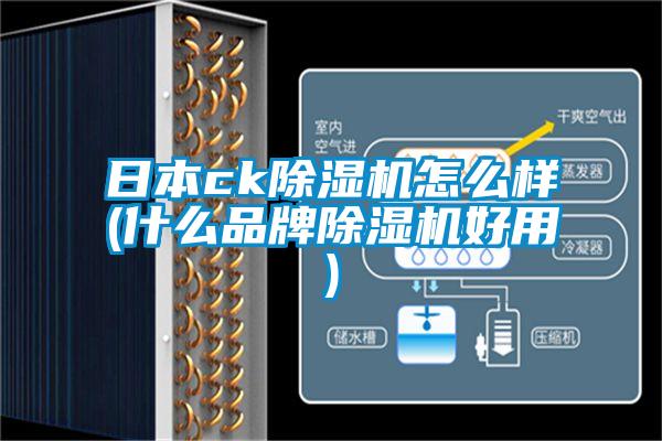 国产精品探花在线观看 日本ck除湿机怎么样(什么品牌除湿机好用)