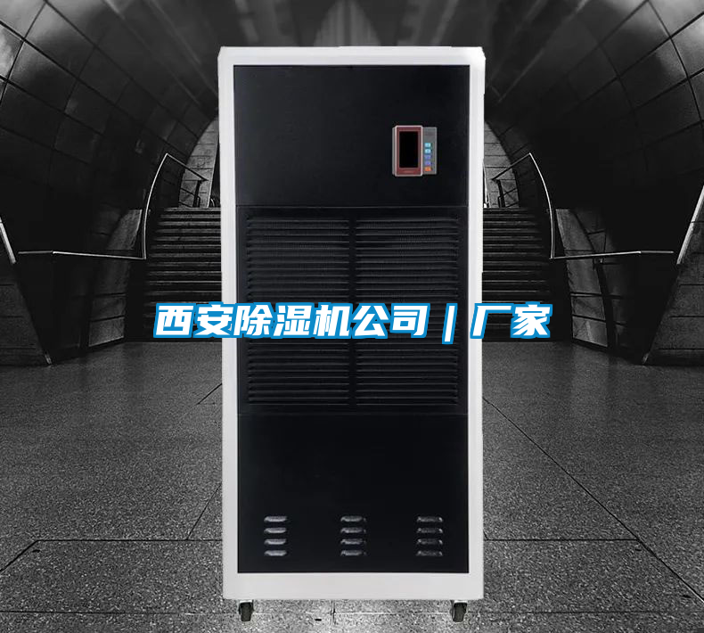 国产精品欧美激情视频 西安除湿机公司｜厂家