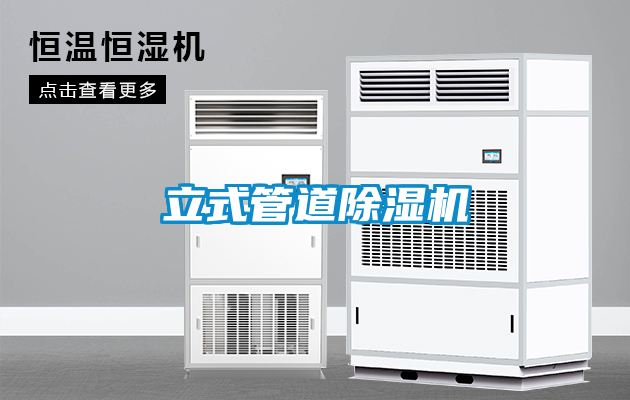 国产精品欧美激情视频 立式管道除湿机
