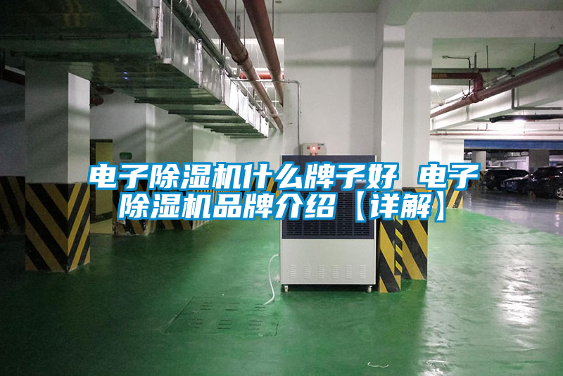 国产精品三级在线观看 电子除湿机什么牌子好 电子除湿机品牌介绍【详解】