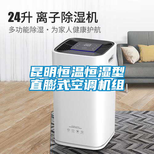 国产精品欧美激情视频 昆明恒温恒湿型直膨式空调机组