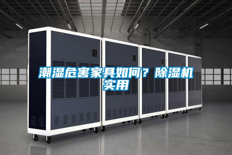 国产精品欧美激情视频 潮湿危害家具如何？除湿机实用