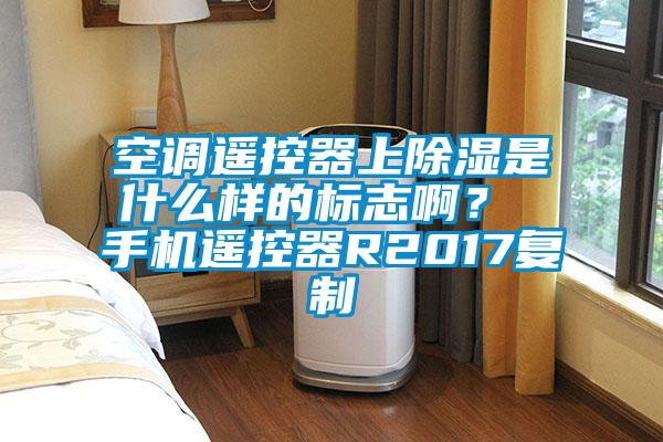 国产精品三级在线观看 空调遥控器上除湿是什么样的标志啊？ 手机遥控器R2017复制