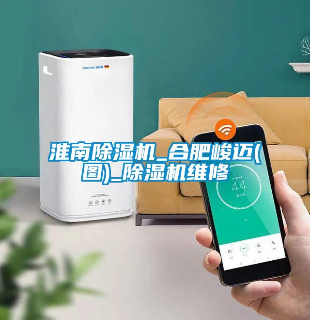 国产精品三级在线观看 淮南除湿机_合肥峻迈(图)_除湿机维修