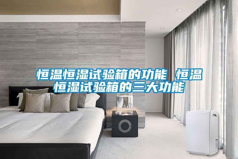 国产精品三级在线观看 恒温恒湿试验箱的功能 恒温恒湿试验箱的三大功能