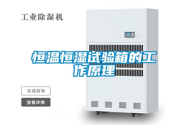 国产精品探花在线观看 恒温恒湿试验箱的工作原理