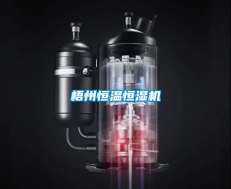 国产精品欧美激情视频 梧州恒温恒湿机