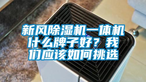 国产精品三级在线观看 新风除湿机一体机什么牌子好？我们应该如何挑选