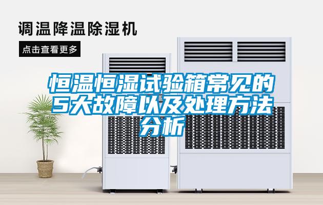 国产精品欧美激情视频 恒温恒湿试验箱常见的5大故障以及处理方法分析