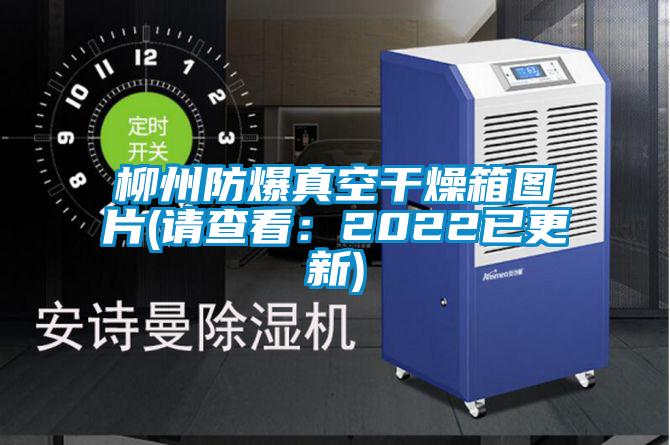 国产精品探花在线观看 柳州防爆真空干燥箱图片(请查看：2022已更新)