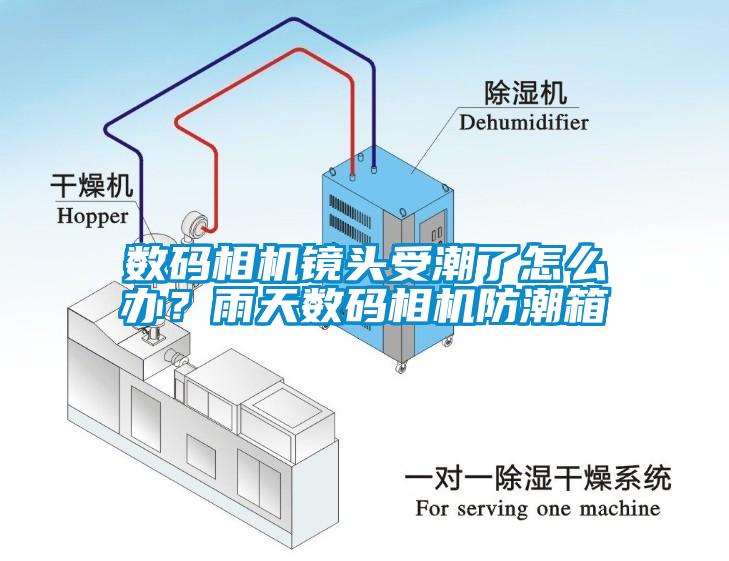 国产精品欧美激情视频 数码相机镜头受潮了怎么办？雨天数码相机防潮箱
