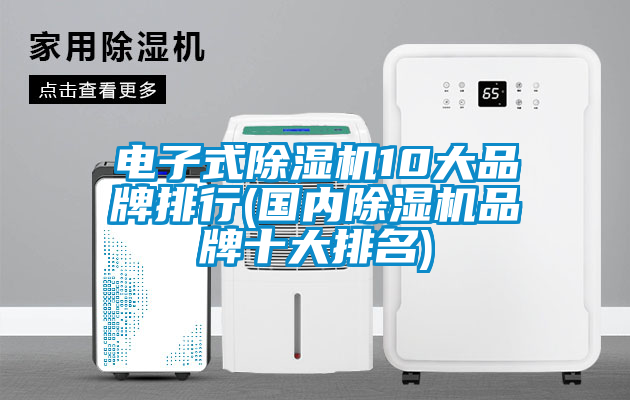 国产精品三级在线观看 电子式除湿机10大品牌排行(国内除湿机品牌十大排名)
