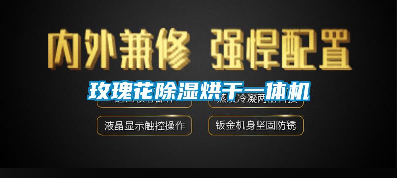 国产精品探花在线观看 玫瑰花除湿烘干一体机