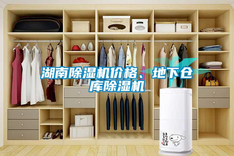 国产精品探花在线观看 湖南除湿机价格、地下仓库除湿机