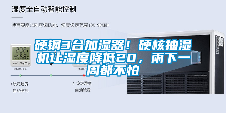 国产精品欧美激情视频 硬钢3台加湿器！硬核抽湿机让湿度降低20，雨下一周都不怕