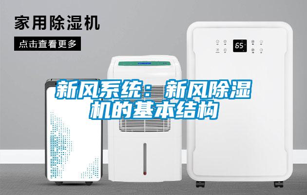国产精品欧美激情视频 新风系统：新风除湿机的基本结构