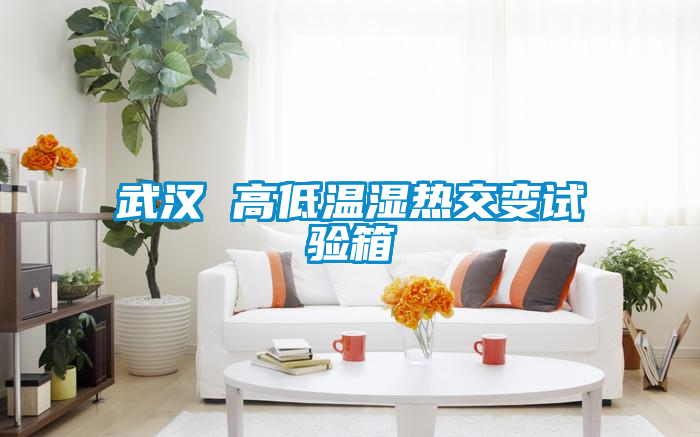 国产精品三级在线观看 武汉 高低温湿热交变试验箱