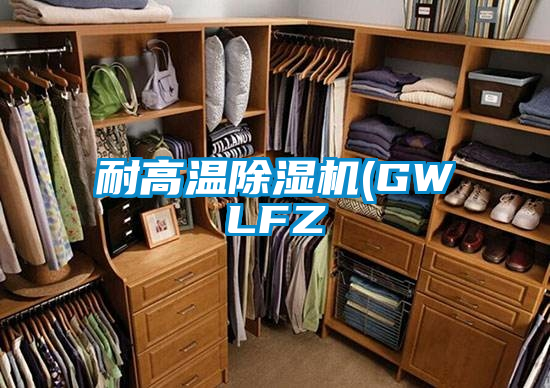 国产精品三级在线观看 耐高温除湿机(GWLFZ