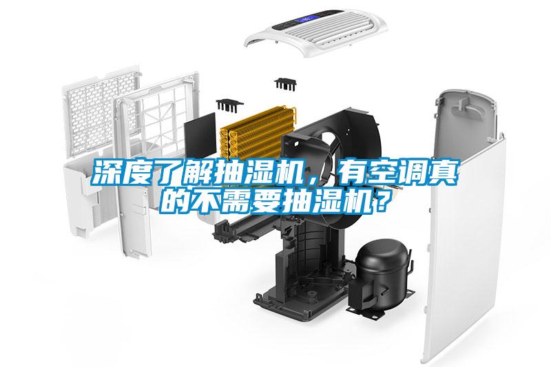 国产精品欧美激情视频 深度了解抽湿机，有空调真的不需要抽湿机？