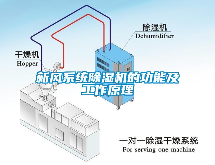 国产精品三级在线观看 新风系统除湿机的功能及工作原理