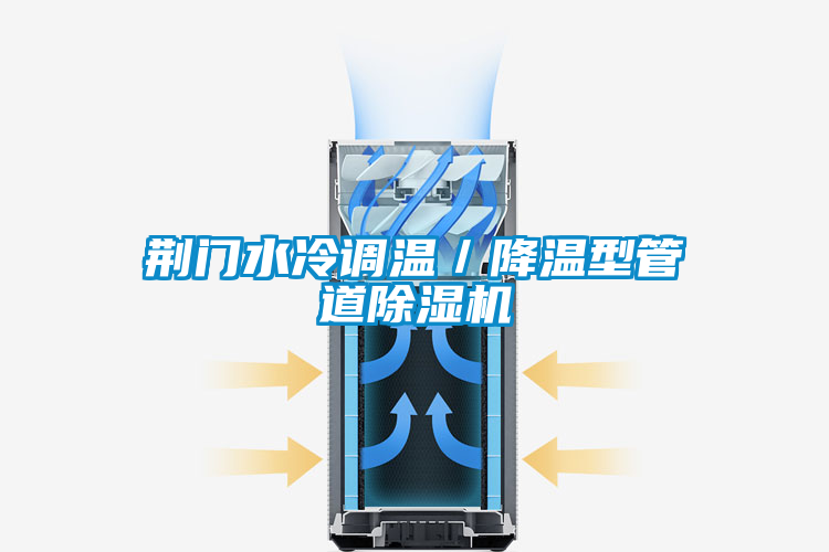 国产精品欧美激情视频 荆门水冷调温／降温型管道除湿机